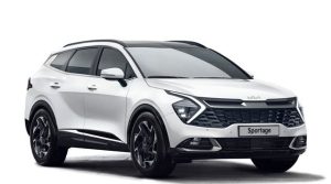 Kia Sportage Touch-Up Paint Pen | Scratch Remover Pen | Exact Color Match for Kia Sportage