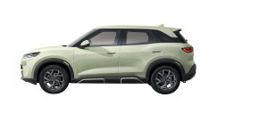 Byd atto2 all color Delivery all over nepal